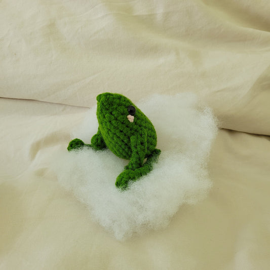 Mr Froggy Crochet Kit - Beginners Amigurumi Kit