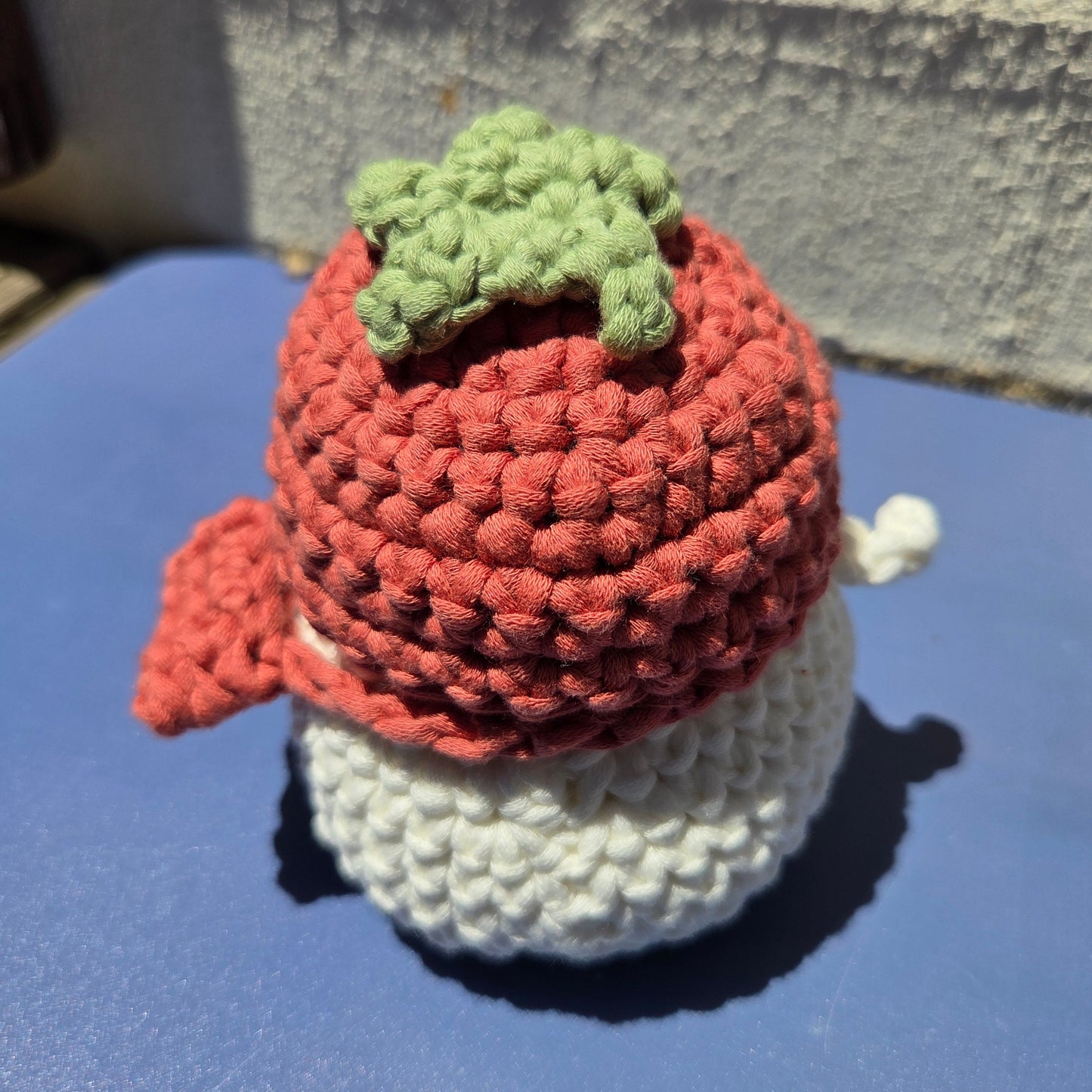 Crochet Duck with Tomato Hat & Side Bag